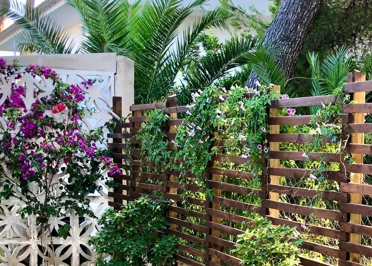 Villa Can Ordinas Alcúdia Exteriér fotografie