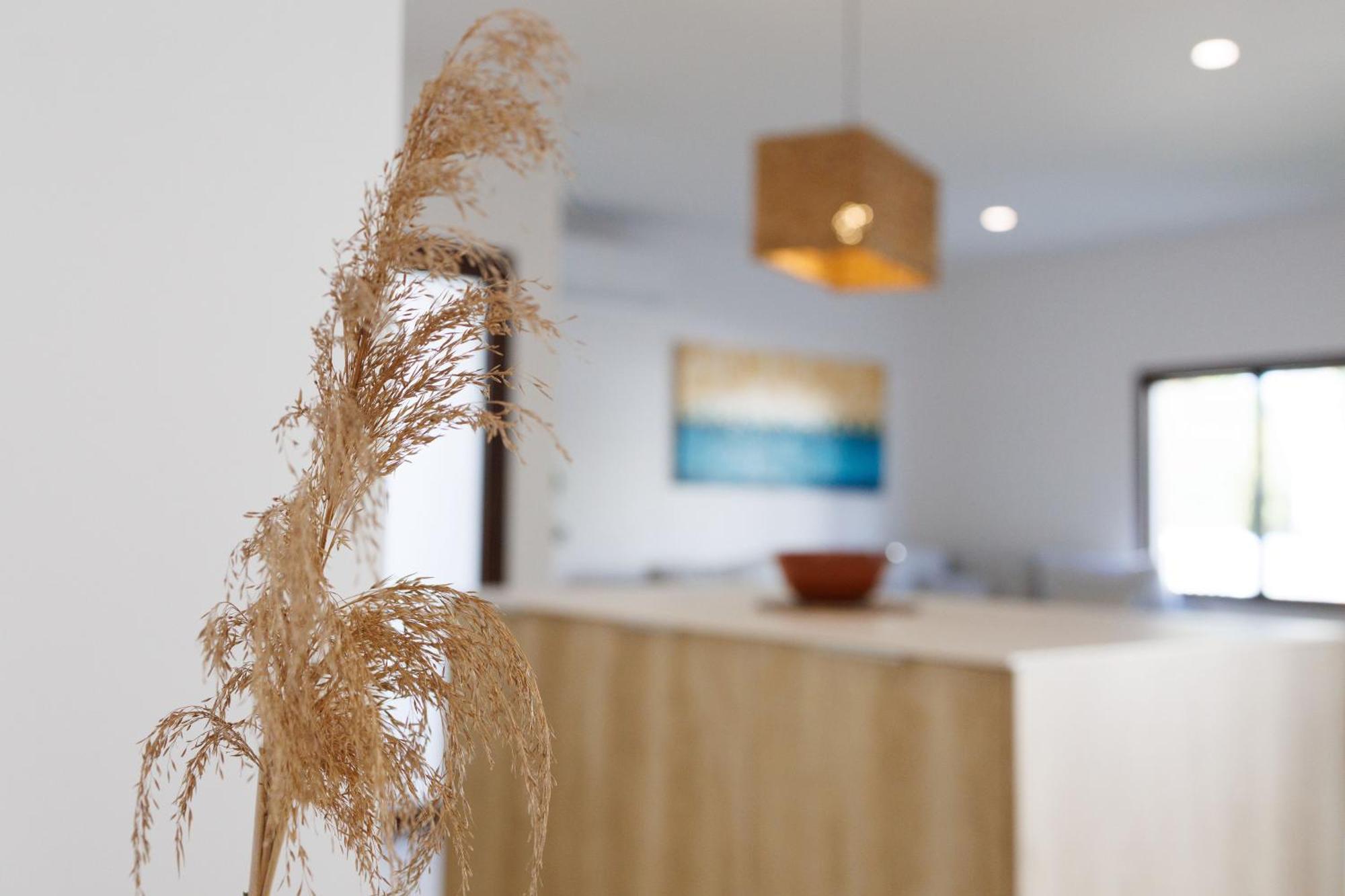 Villa Can Ordinas Alcúdia Exteriér fotografie