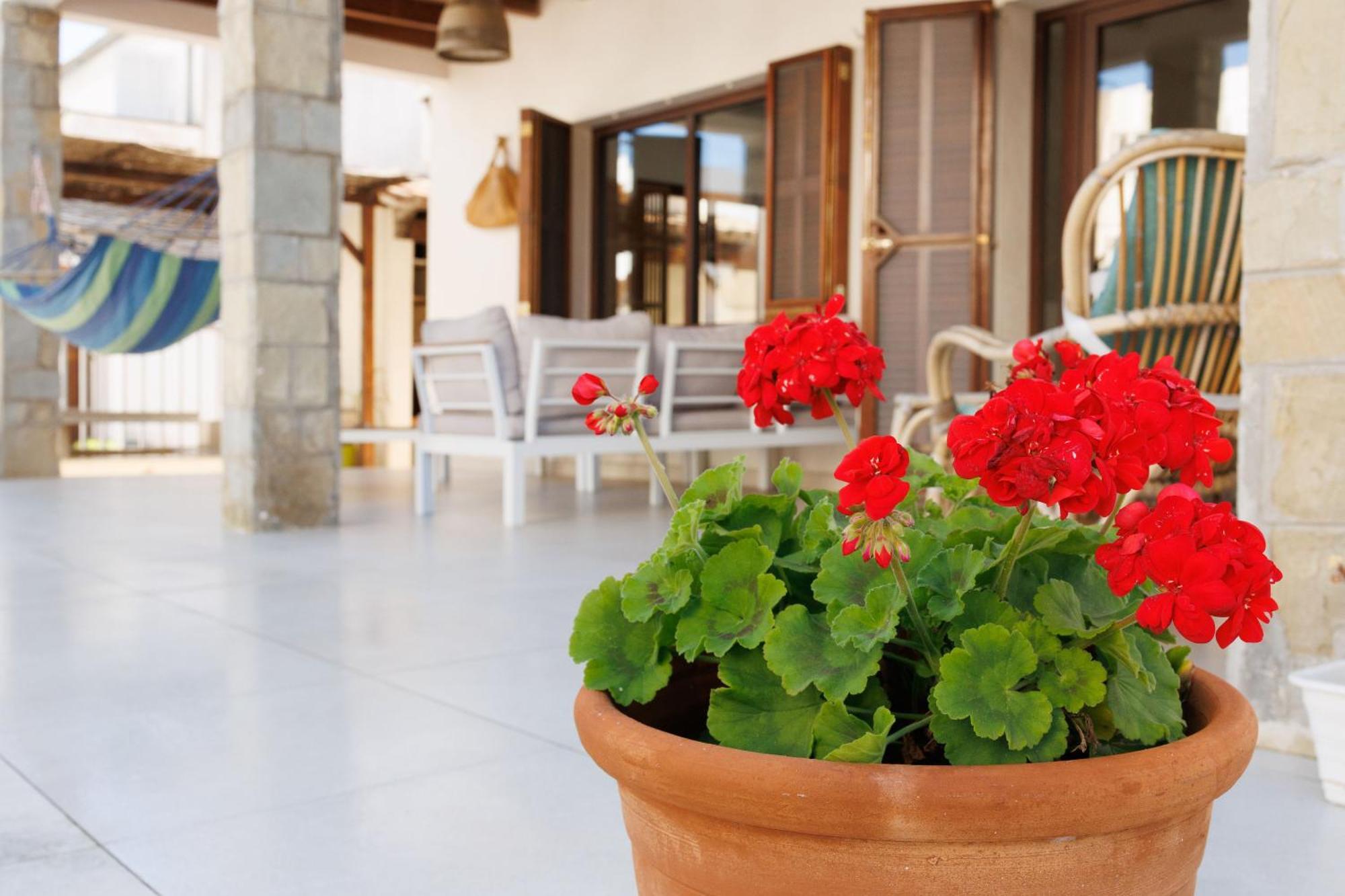Villa Can Ordinas Alcúdia Exteriér fotografie